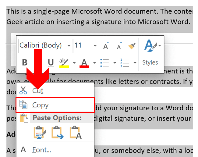 cut and paste text into word for mac and apply formatting from word doc
